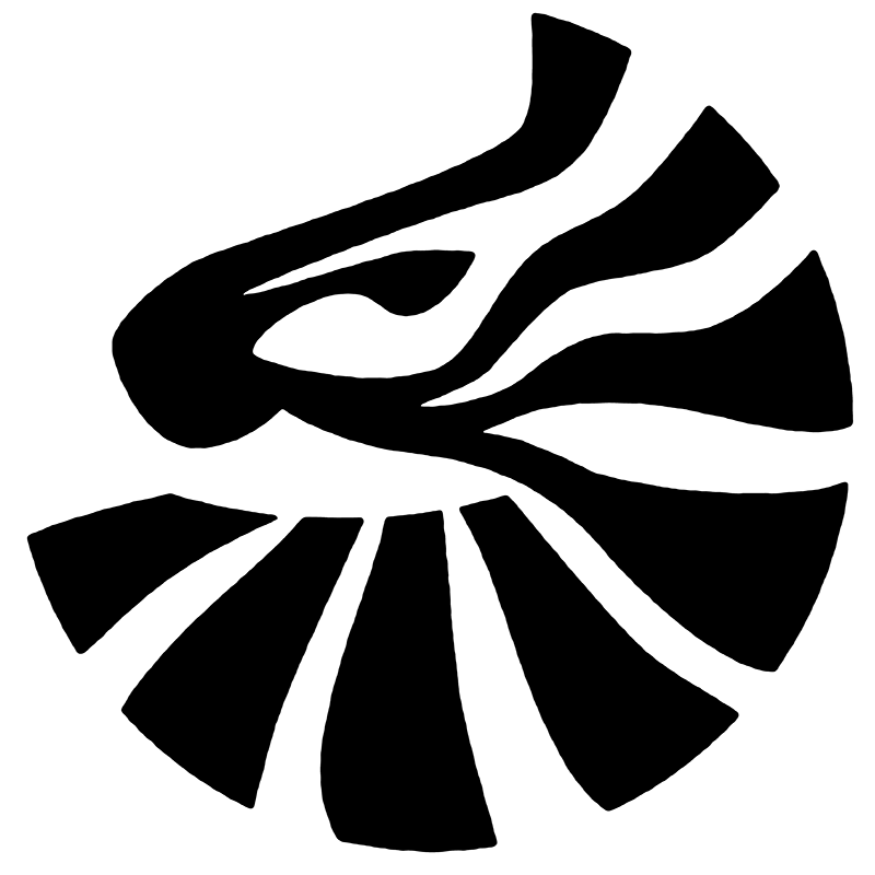 sv-rindern-kleve-zebras_800